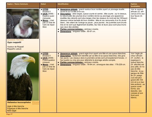 un guide d'identification détaillé des espèces CITES les plus ...