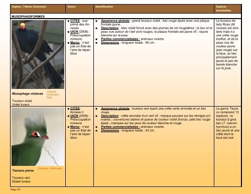 un guide d'identification détaillé des espèces CITES les plus ...