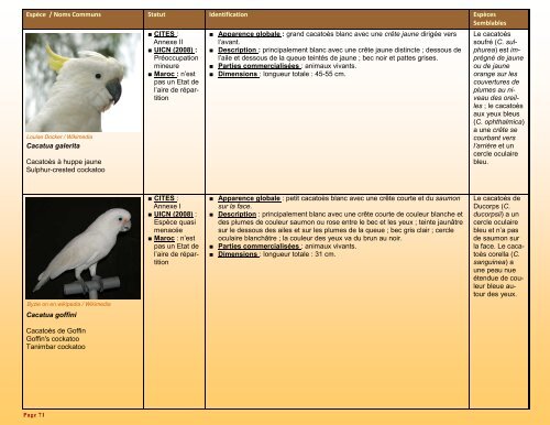 un guide d'identification détaillé des espèces CITES les plus ...