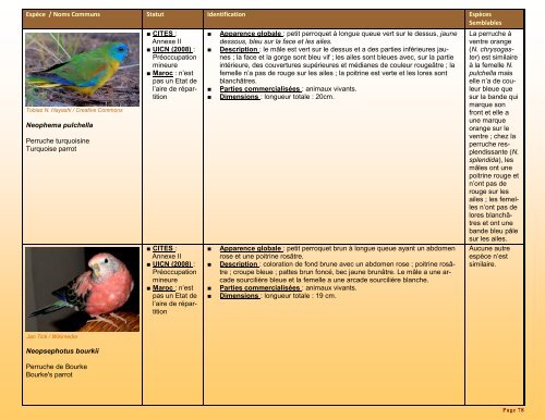 un guide d'identification détaillé des espèces CITES les plus ...