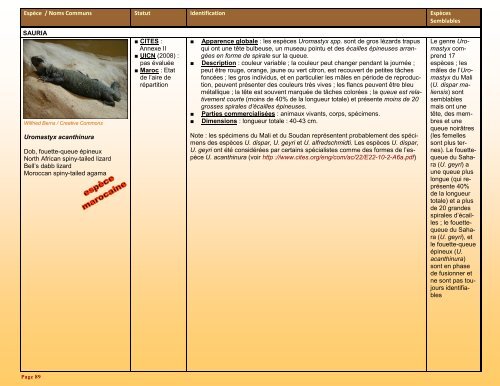 un guide d'identification détaillé des espèces CITES les plus ...