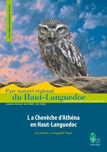 plaquette Chevêche.indd - Nuit de la Chouette - LPO