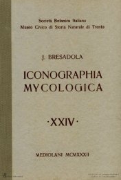 Iconographia Mycologica vol. XXIV - Museo Tridentino di Scienze ...