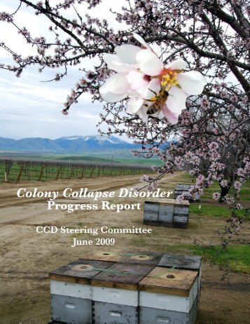 Colony Collapse Disorder - Agricultural Research Service