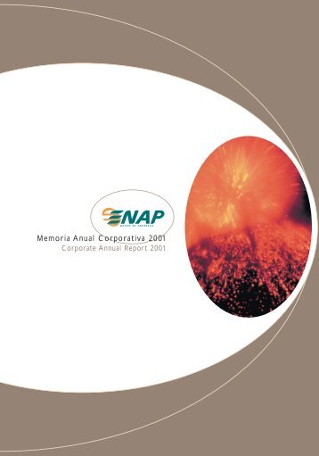 002-003 indice - Enap
