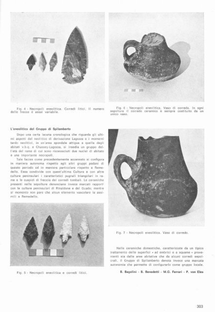 scarica pdf 46984.564KB - Museo Tridentino di Scienze Naturali