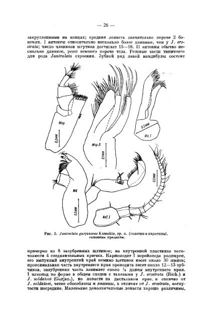 К фауне Janiridae (Isopoda, Asellota) морей СССР