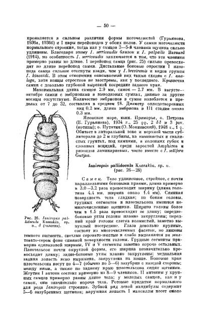 К фауне Janiridae (Isopoda, Asellota) морей СССР