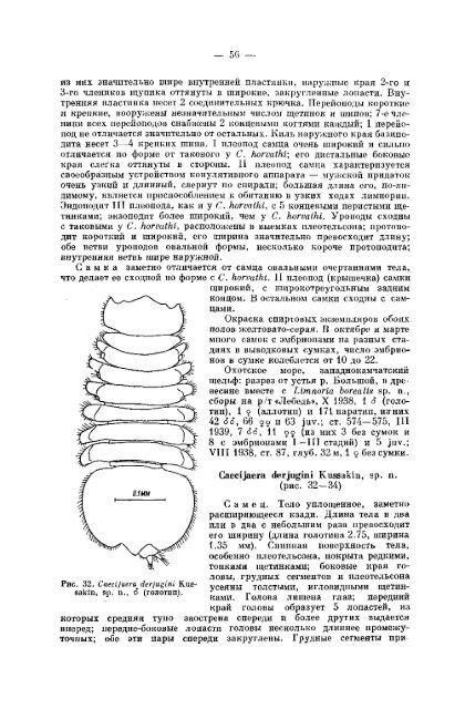 К фауне Janiridae (Isopoda, Asellota) морей СССР