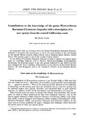 Contributions to the knowledge of the genus Microcerberus ...