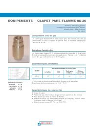 Clapet ARPF - Air Liquide