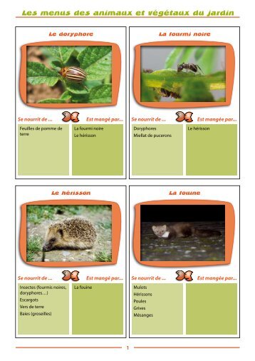 Les menus des animaux et végétaux du jardin - Uitgeverij Van In