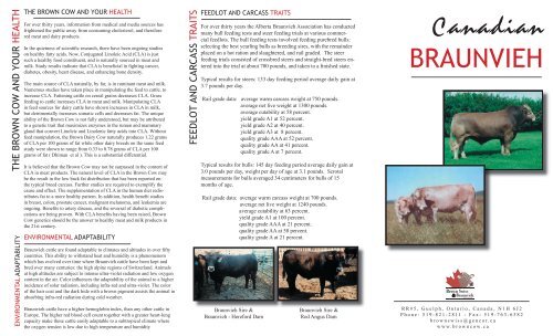 Braunvieh Brochure.indd - Canadian Brown Swiss & Braunvieh ...