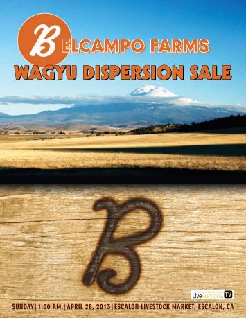 Wagyu Dispersion sale - James Danekas & Associates