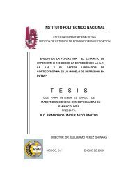 Tesis en el IPN - Instituto Politécnico Nacional