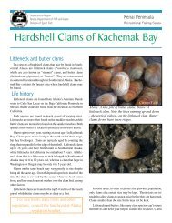 Hardshell clams.indd