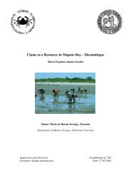 Clams as a Resource in Maputo Bay - Mozambique - TMBL