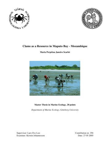 Clams as a Resource in Maputo Bay - Mozambique - TMBL