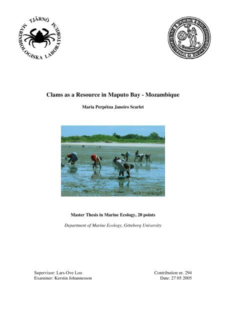 Clams as a Resource in Maputo Bay - Mozambique - TMBL