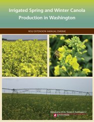 Irrigated Spring and Winter Canola Production in Washington