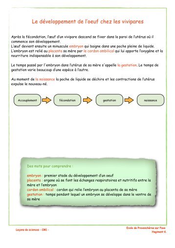 Le développement de l'oeuf chez les vivipares - Académie de Nancy ...