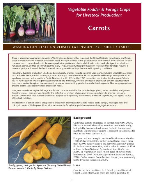 Vegetable fodder and forage crops for livestock production: Carrots