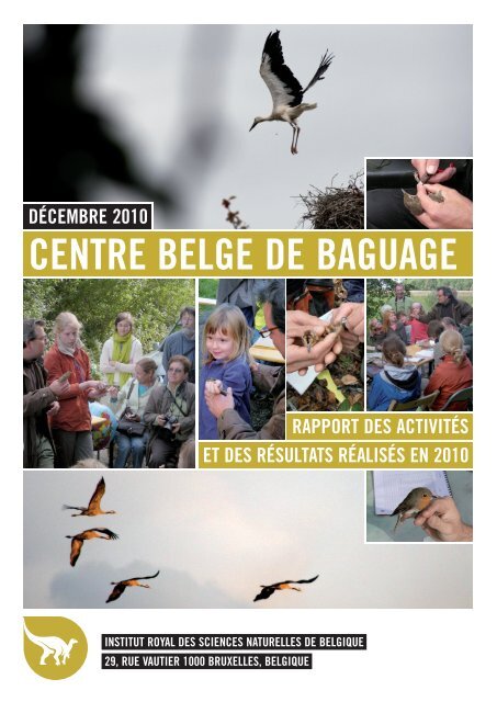décembre 2010 centre belge de baguage - The European Union for ...
