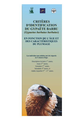 Critères d'identification du Gypaète barbu - En fonction de l'âge et ...