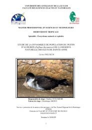 Etude de la dynamique de population du Puffin d'Audubon