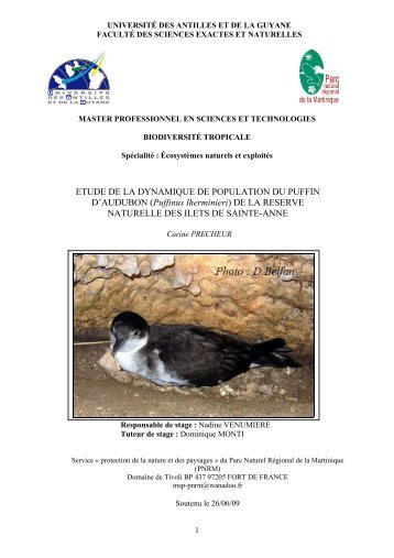 Etude de la dynamique de population du Puffin d'Audubon