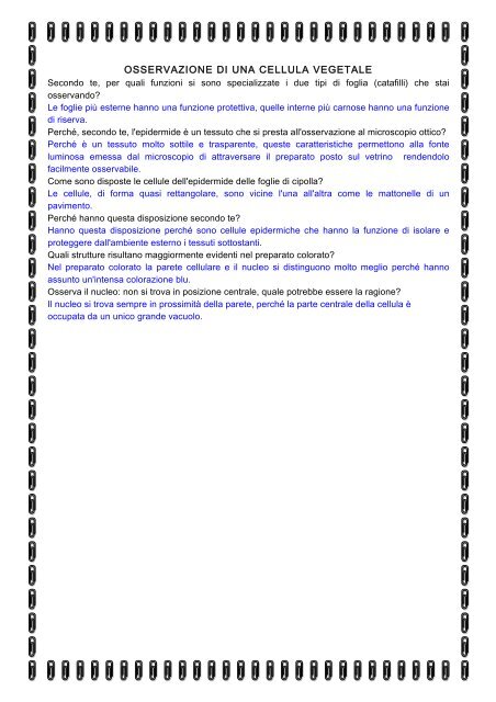 Documento in formato pdf