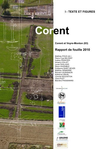 Rapport Corent 2010 version Internet - LUERN