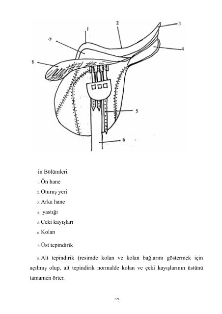 ata nasıl - Anadolu Atçılığını Geliştirme Komitesi