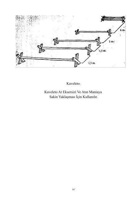 ata nasıl - Anadolu Atçılığını Geliştirme Komitesi