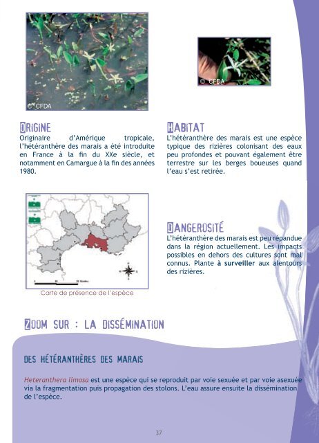 Plantes Envahissantes - Conseil Général du Var