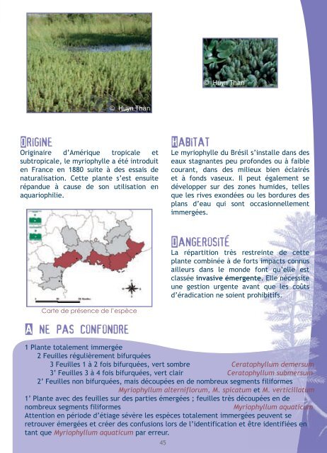 Plantes Envahissantes - Conseil Général du Var