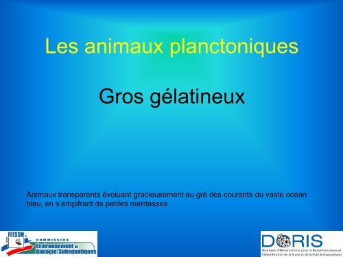 Les animaux planctoniques