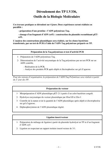 Déroulement des TP LV336, Outils de la Biologie ... - Page d'accueil