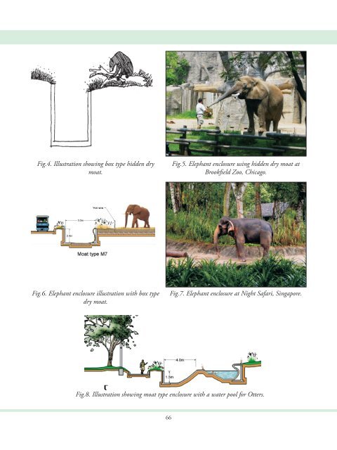 Barrier Designs for Zoos - ZooLex Zoo Design Organization