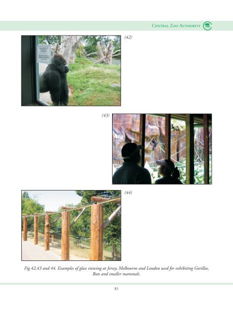 Barrier Designs for Zoos - ZooLex Zoo Design Organization