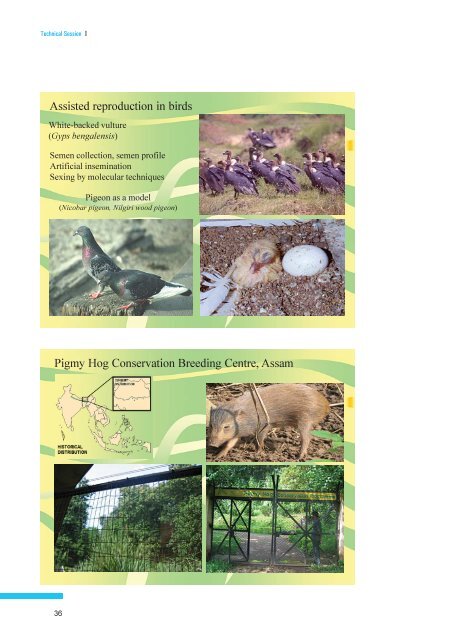 Master Planning of Zoos - Central Zoo Authority