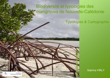 Cartographie et Typologie des mangroves de Nouvelle ... - TEMEUM