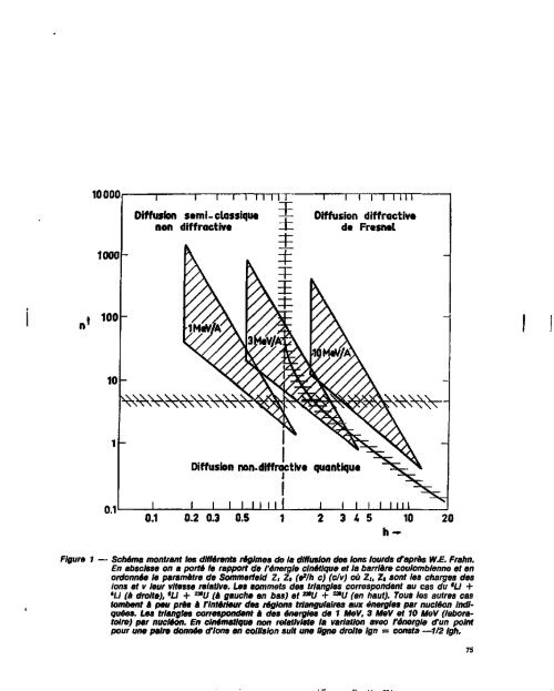 VOL.1 PHYSIQUE NUCLEAIRE - IAEA