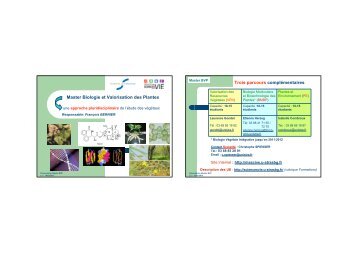 Master Biologie et Valorisation des Plantes Trois ... - Cours en ligne