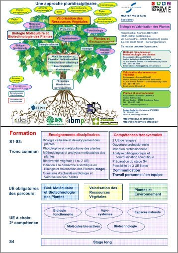 plante - Cours en ligne