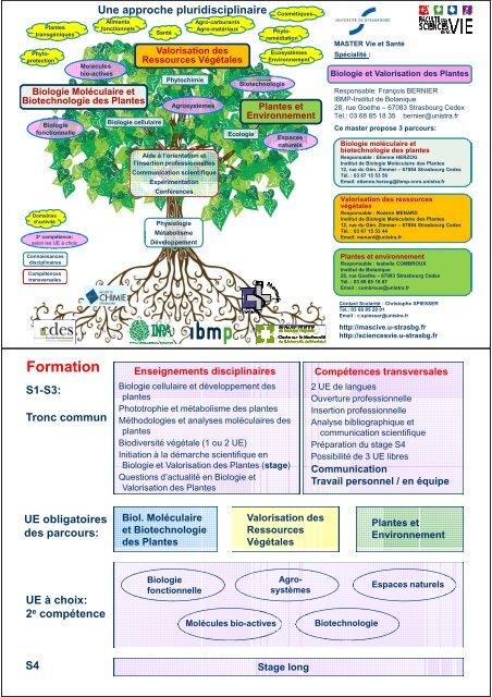 plante - Cours en ligne