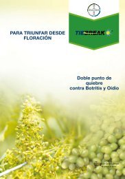 Tie Break - Bayer CropScience Chile