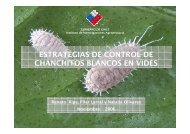 ESTRATEGIAS DE CONTROL DE CHANCHITOS BLANCOS ... - Fdf