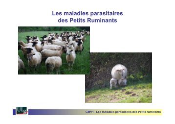 Les maladies parasitaires des Petits Ruminants