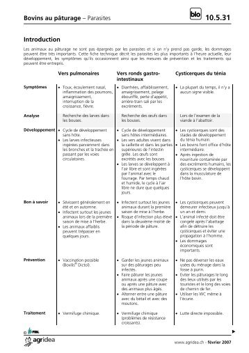 Bovins au pâturage – Parasites Introduction - Agridea